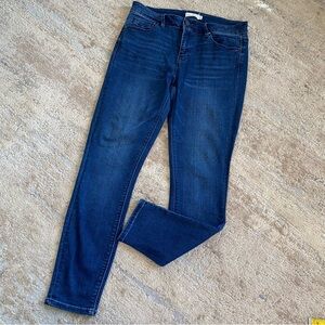 Unpublished Anthropologie Classic Blue Skinny Jeans Dark Wash: 30